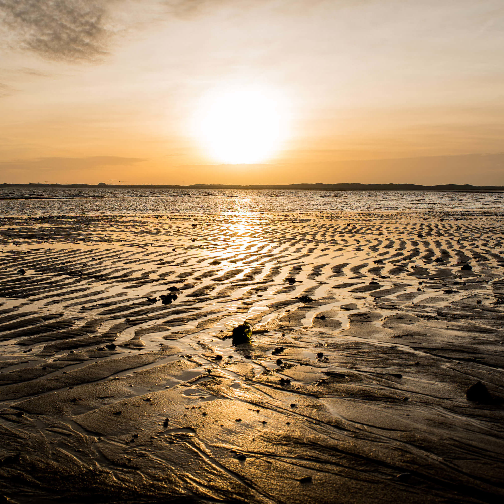 Sylt Restauranttipps