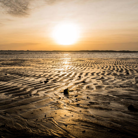 Sylt Restauranttipps