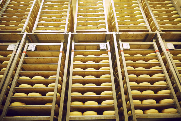 Käse richtig aufbewahren