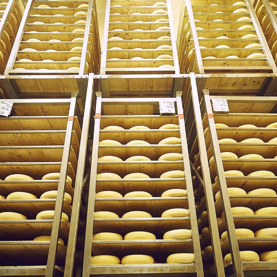 Käse richtig aufbewahren