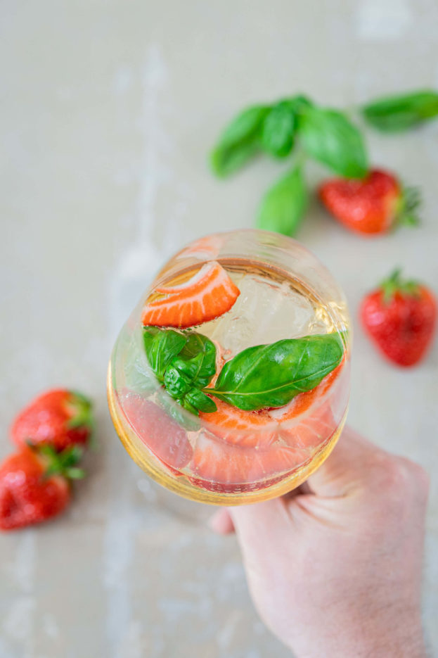 Alkoholfreier Aperitif